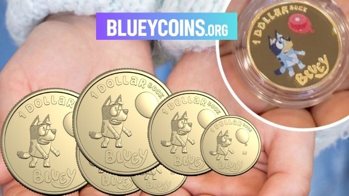 bluey coins
